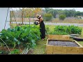 LAPSO DE TIEMPO | En 4 min 180 Dias Cultivando Un Huerto de Vegetales | De Patio Vacío a Abundancia