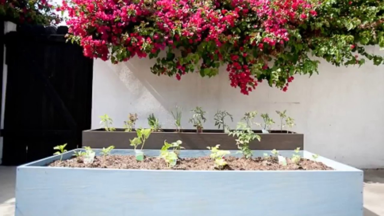 Large Planters On Wheels Ideas