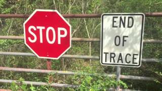 Tammany Trace