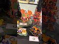 Department 56 2026 Mickey's Pumpkintown Village Full Set