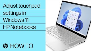 how to adjust touchpad settings in windows 11 | hp notebooks | hp support