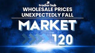 Wholesale Prices Unexpectedly Fall
