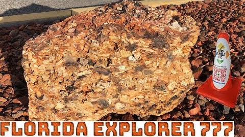 🔵MudFossil🟠In🟢Motion🟡