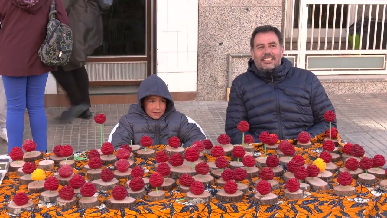 Fem una Ullada Diada de Sant Jordi 2024 a Roquetes