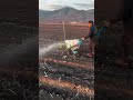 Smart Farming Field Sprayer Machine in Action at Sunset
