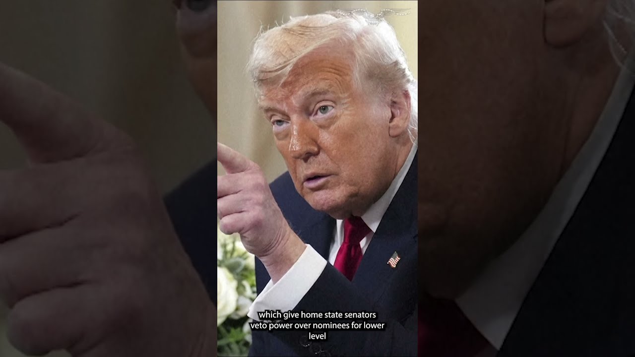 Grassley Dismisses Trump S Personal Insults Over Senate Blue Slips