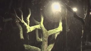 Snow falls in the Bay Area