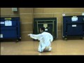 【武術】五歩拳