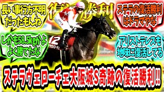 『オーナーに捧げる。ステラヴェローチェ大阪城S奇跡の復活勝利‼』に対するみんなの反応【競馬の反応集】