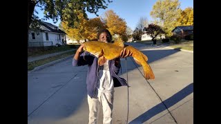 Flathead Catfish Catch, Clean, and Cook!!
