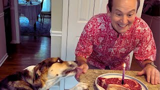 What Do Carnivores Eat on Their Birthday?