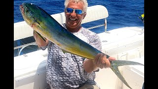 How to Catch Key Largo Dolphin Using Williamson Trolling Lures & Best Live Bait
