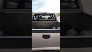 Tundra rear window install on a 2004 Gmc Sierra crew cab