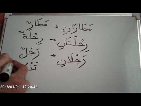 Арабский язык  Число имён существительных