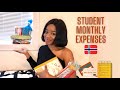 Student in Norway Monthly Expenses (Groceries & More!) | Cost of living in Norway & Study for FREE