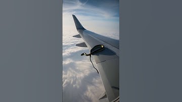 Passengers panicked by the snake on the flight wing 😱| snake on aeroplane | #snake  #python #shorts