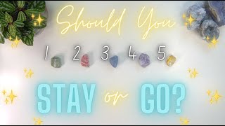 🌺Should You STAY or GO? (ANY situation!)✨ Tarot Reading 🌺