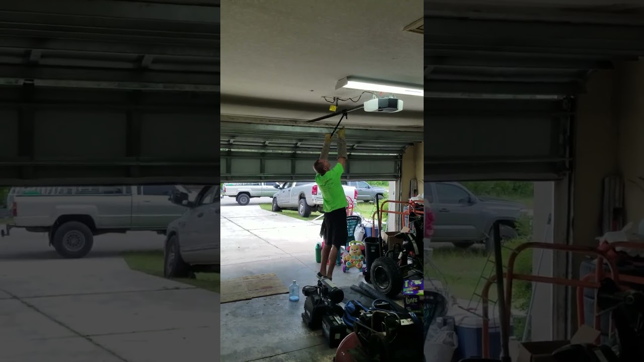 2020 raccoon removal!