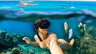 FINDING BOAT LIFE BLISS: HUNTING FOR FOOD on the reef | The Wild West Leg 2