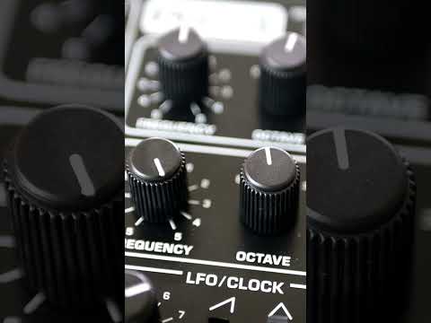 Behringer Pro-1 - LOVELY PROPHET 💕 (Soundset Demo) #shorts