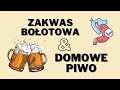 ZAKWAS BOŁOTOWA - co i jak & DOMOWE PIFFFCO :) Kto chętny?