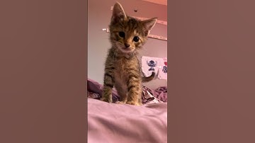 Im doing it again because it blew up last time lol