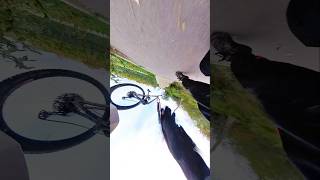 Not The Way I Planned bike mtb crash fail crashing