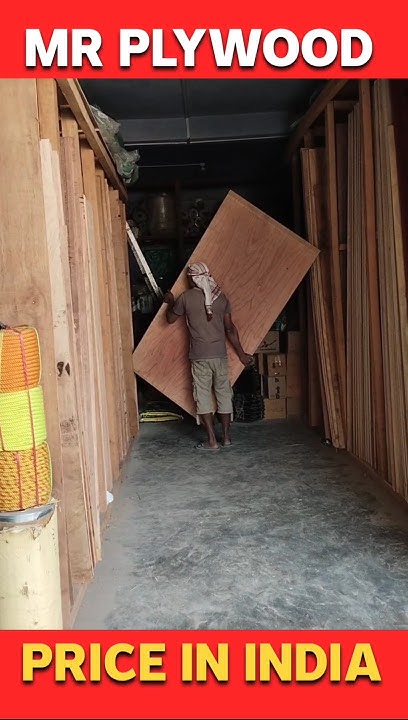 plywood-price-in-india-2024-shortsvideo-viralvideo-youtube