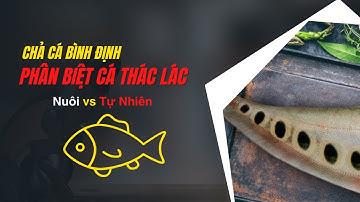 Cách Phân Biệt Cá Thác Lác Tự Nhiên Và Cá Thác Lác Nuôi: Bí Quyết Từ Chuyên Gia! Đặc Sản Xứ Nẫu