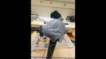 #arduino #arduinoproject #butifyoucloseyoureyes #3dprinting #robot