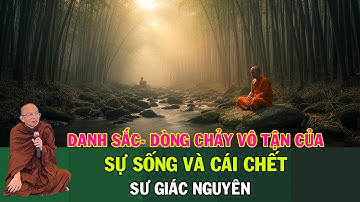 Danh Sắc – Dòng Chảy Vô Tận Của Sự Sống Và Cái Chết | Sư Giác Nguyên | Sư Toại Khanh