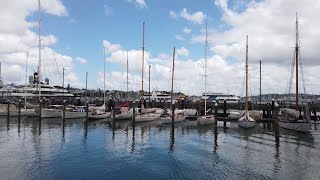 New Zealand 2024| Auckland CBD day scene, walking perspective