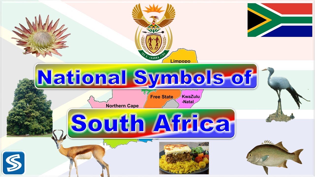 National symbols of South Africa || South Africa and its National ...