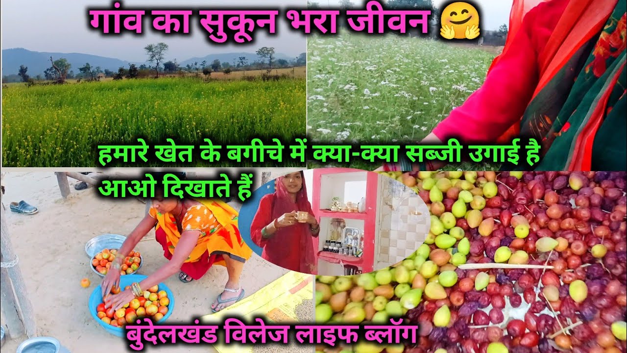 🏕️ गांव का सुकून भरा जीवन 🤗 आज अपने खेत में दिखाते हैं क्या क्या सब्जी 🥗 उगाई है #reenabundelivlog 