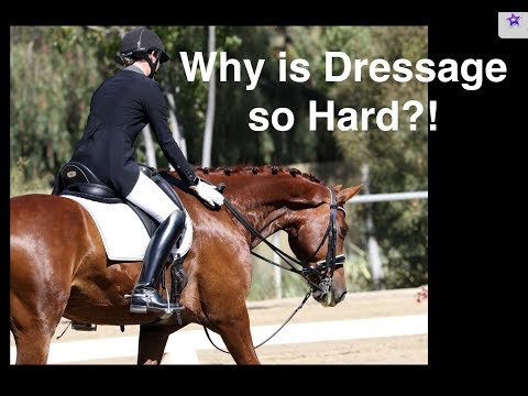 Why Is Dressage So Hard
