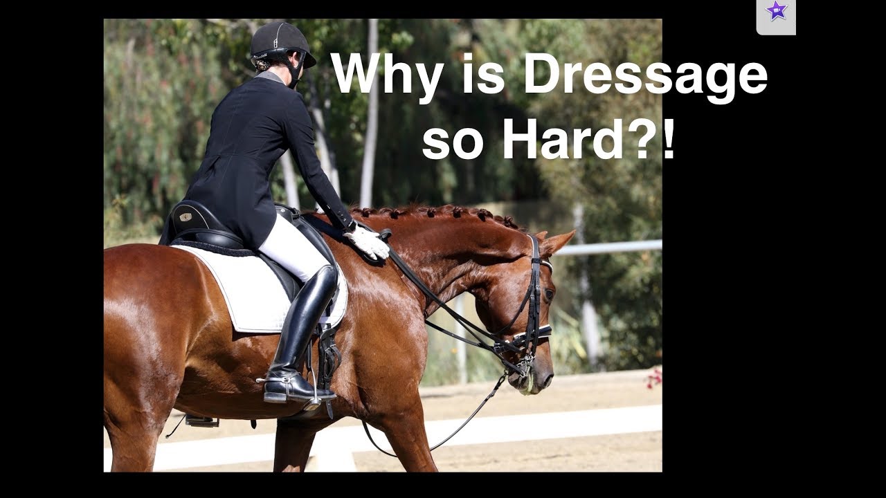 Why is Dressage so Hard?! YouTube