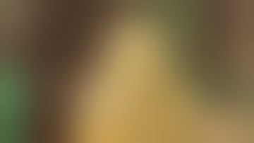 End Of The 4x4 Grow Featuring The Bloom Plus 3000 | Chop Time | Harvest