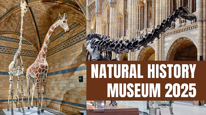 Natural History Museum London 2025 | Walkthrough