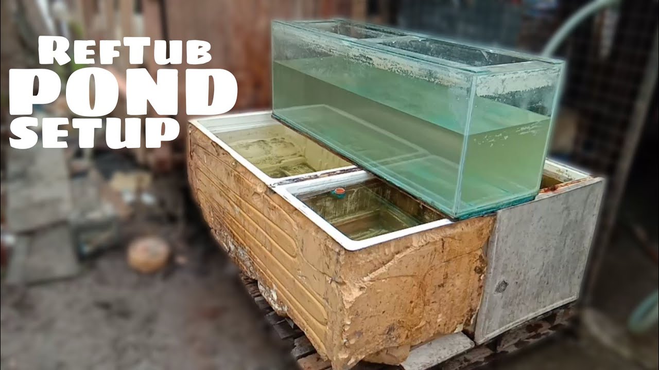 Ref Tub Fish DIY POND RefTub SetUp - YouTube