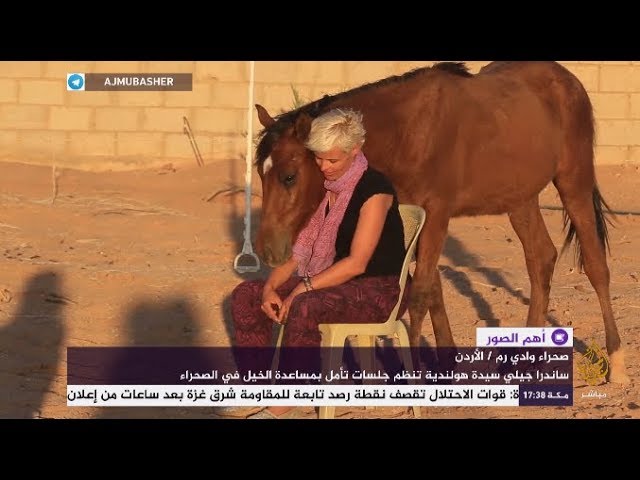 هل الخيل تستطيع فهم وقراءة المشاعر الإنسانية؟