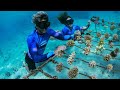 Working Together to Restore Coral Reefs in Tahiti | WSL One Ocean