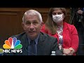 Fauci: I Was Never Told To 'Slow Down' Coronavirus Testing | NBC News NOW