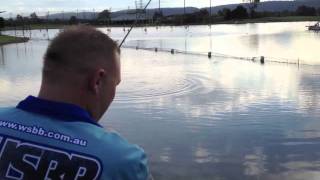 45cm bass caught on Dreamfish Buzzmaster