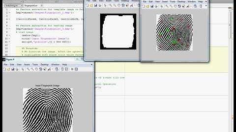 A Direct Fingerprint Minutiae Extraction Approach Based on Convolutional Neural Networks