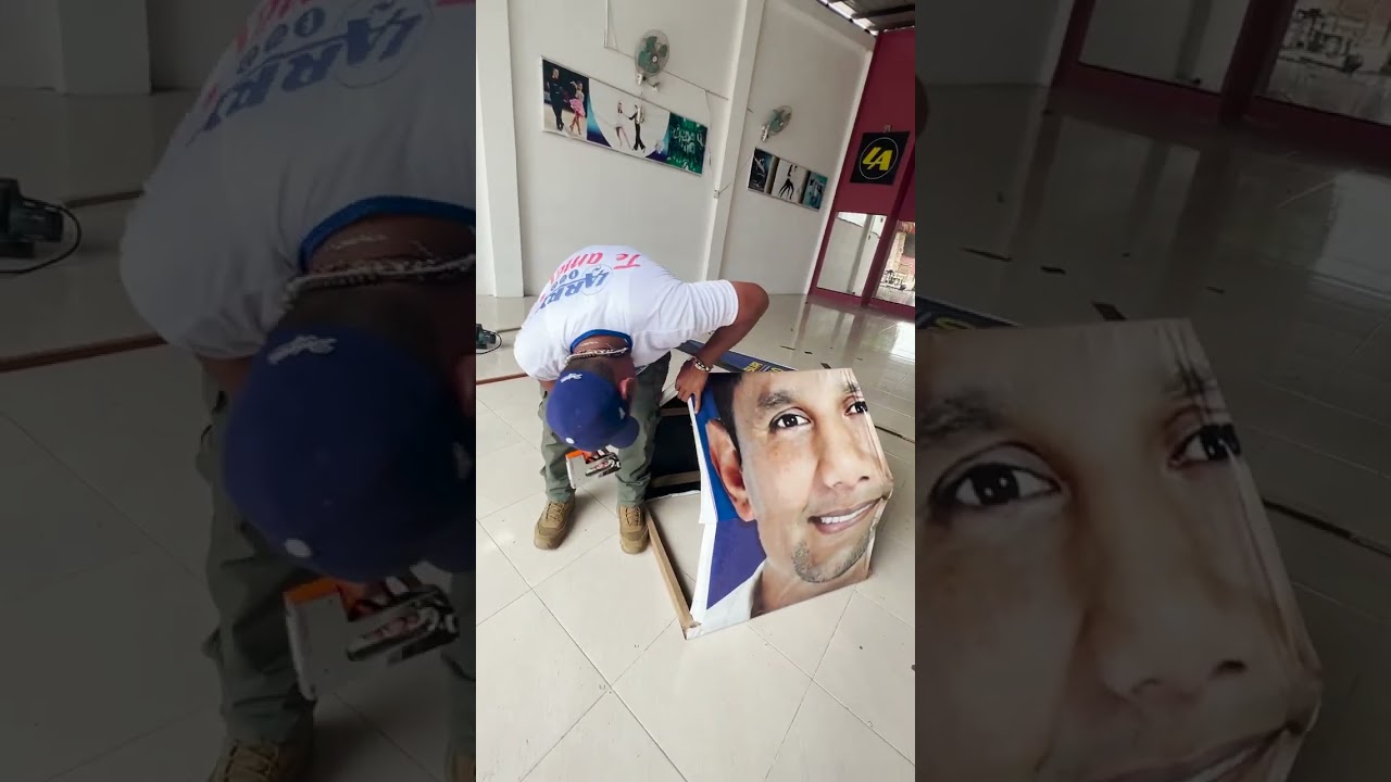 Lonas Políticas , Casas para perros gatos Reciclaje