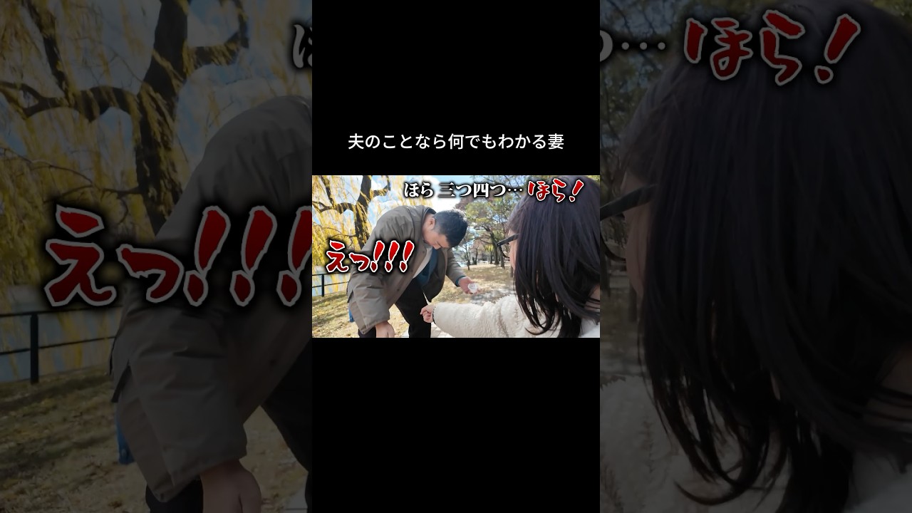 未来が読める妻