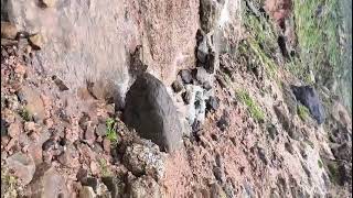 Jharkhand Natural Beauty Sonu Sona River Scene