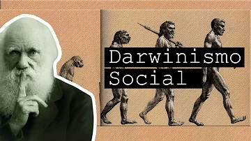 O que pode ser definido por darwinismo e ordem social?