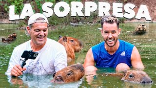 Thumbnail for LA GRAN SORPRESA A FRANK EN EL SANTUARIO - TheGrefg