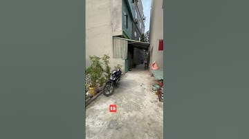 Đất Đa Tốn Gia Lâm Ô tô DT 60m - MT 5m trung tâm xã tiện ích ngập tràn #datgialam #datdaton